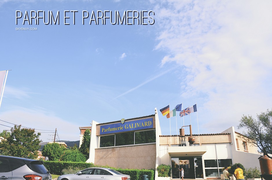 Parfum et Parfumeries - Sky Envy